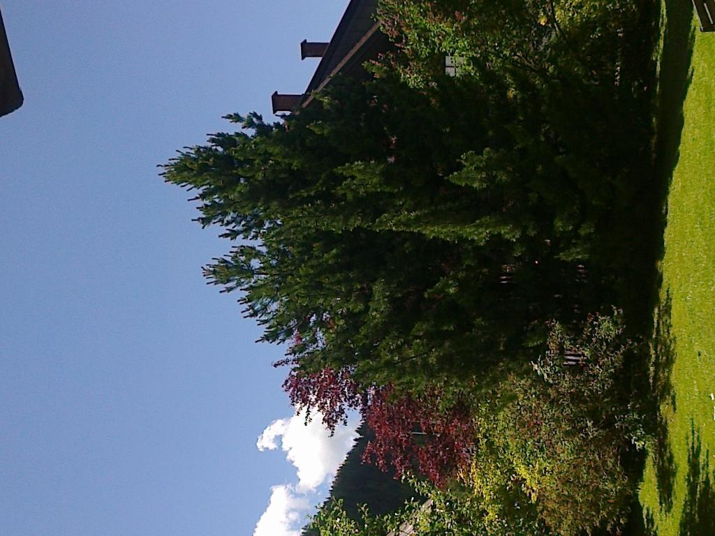 Ferienhaus Zipfmatl Keusche Bad Kleinkirchheim Esterno foto